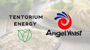 Acuerdo Tentorium–Angel Yeast: comunicación oficial