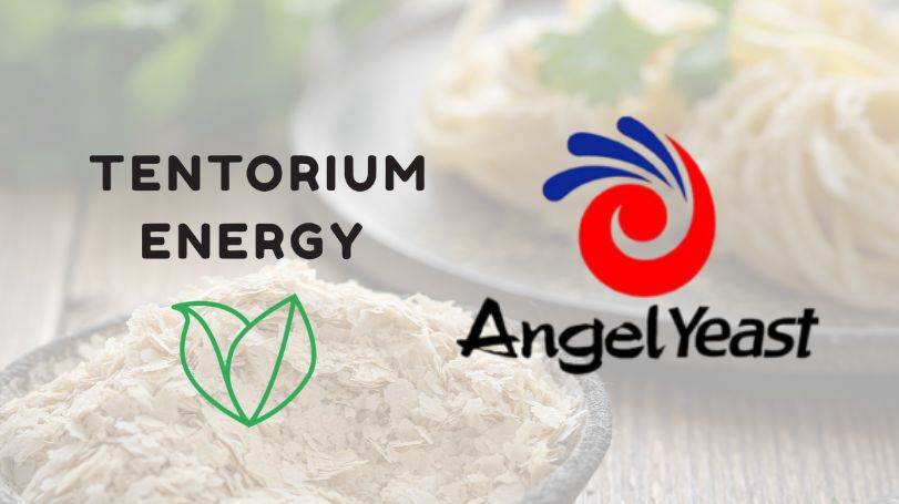 Acuerdo Tentorium–Angel Yeast: comunicación oficial