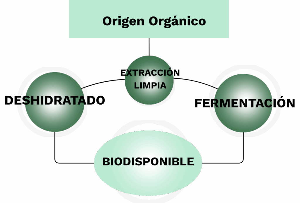 Características Complementos Alimenticios Biodisponibles