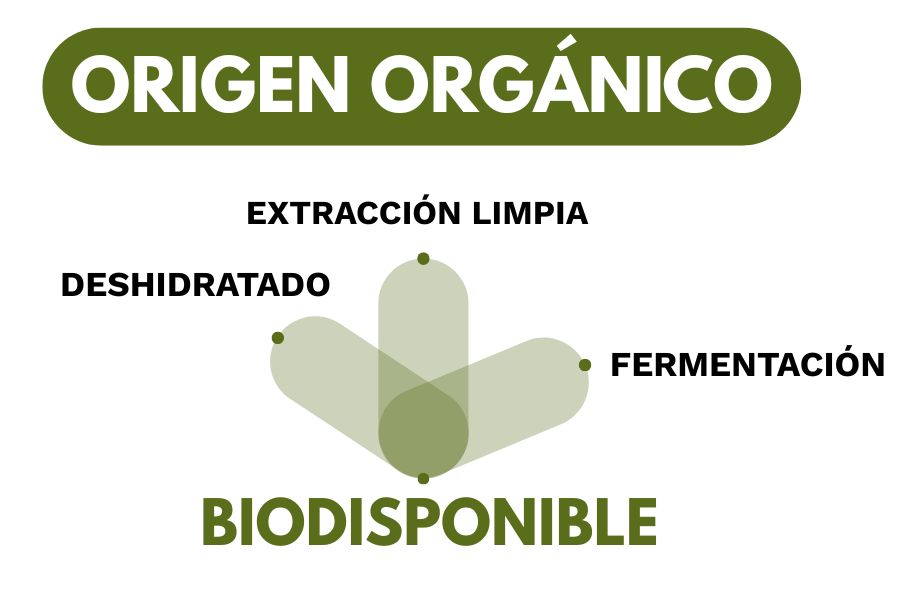 EFICACIA PURA_Landing page CABS (1)