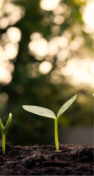 Sostenibilidad CABS (1)